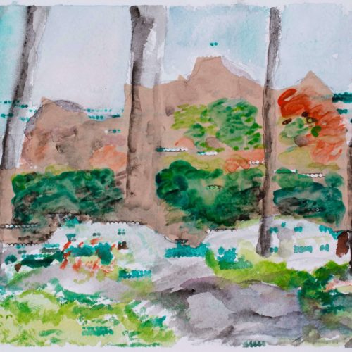 Green Island Moss Bed, 2017 8.25” x 11.5” Watercolor & mixed media
