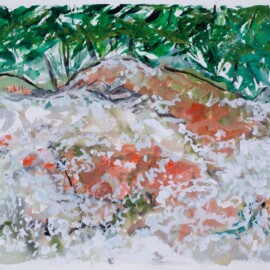 Green Island Lichen, 2017 8.25” x 11.5” Watercolor & mixed media